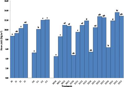 Yield, nitrogen-use efficiency, and distribution of nitrate-nitrogen in the soil profile as influenced by irrigation and fertilizer nitrogen levels under zero-till wheat in the eastern Indo-Gangetic plains of India